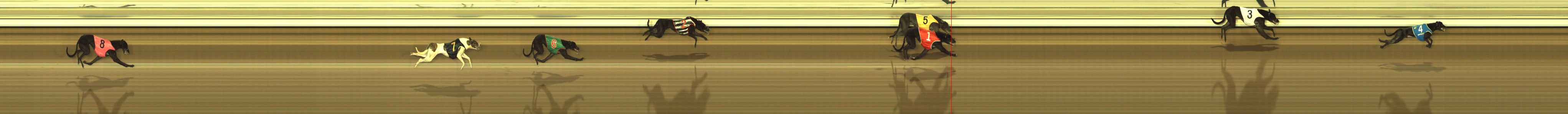 Race result finish photo